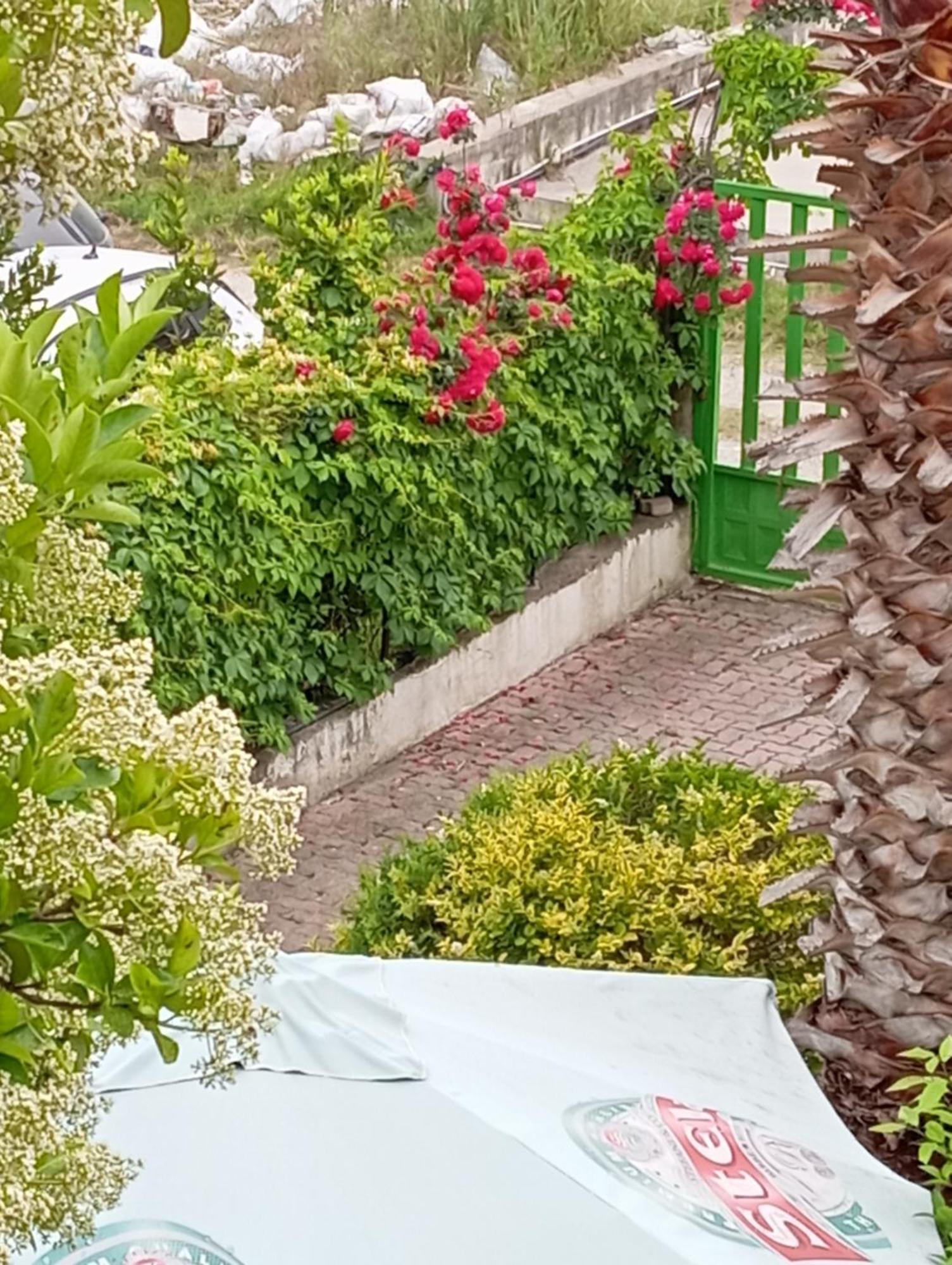 Casa de hóspedes A-vila Golem (Tirana)